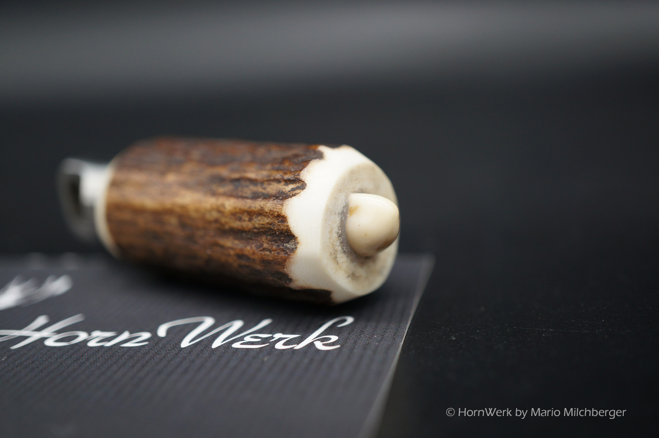 Pillenkapsel Hirsch (S) – Bild 5