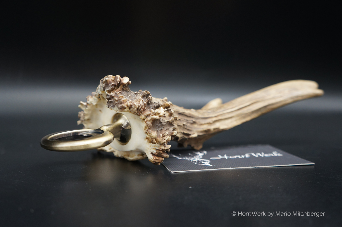 Flaschenöffner Reh XXL – Bild 6