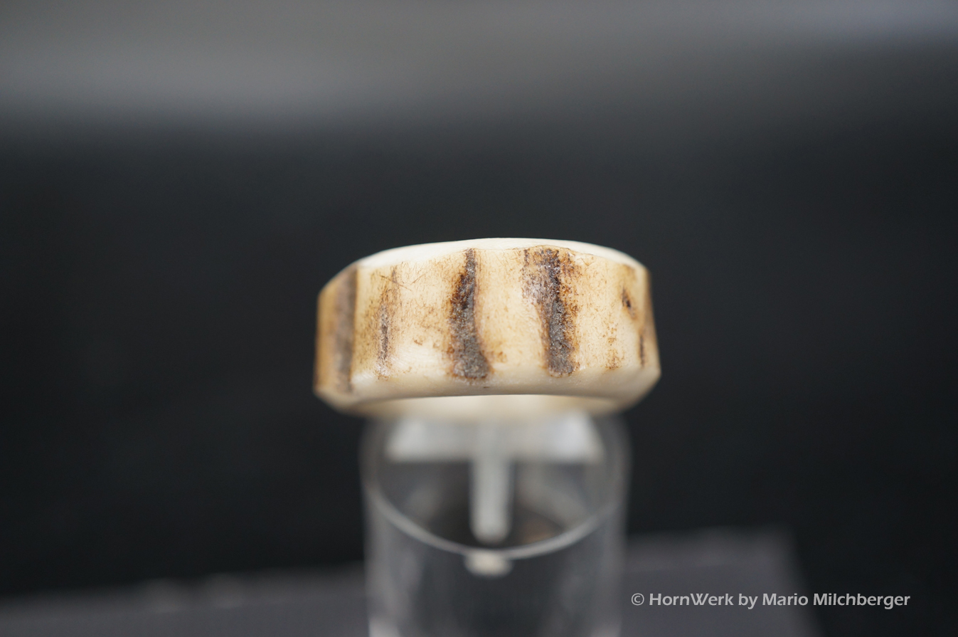 Hirschhornring 17 mm – Bild 2