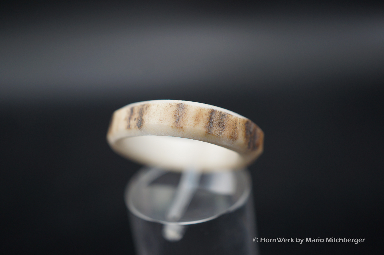 Hirschhornring 17mm – Bild 3