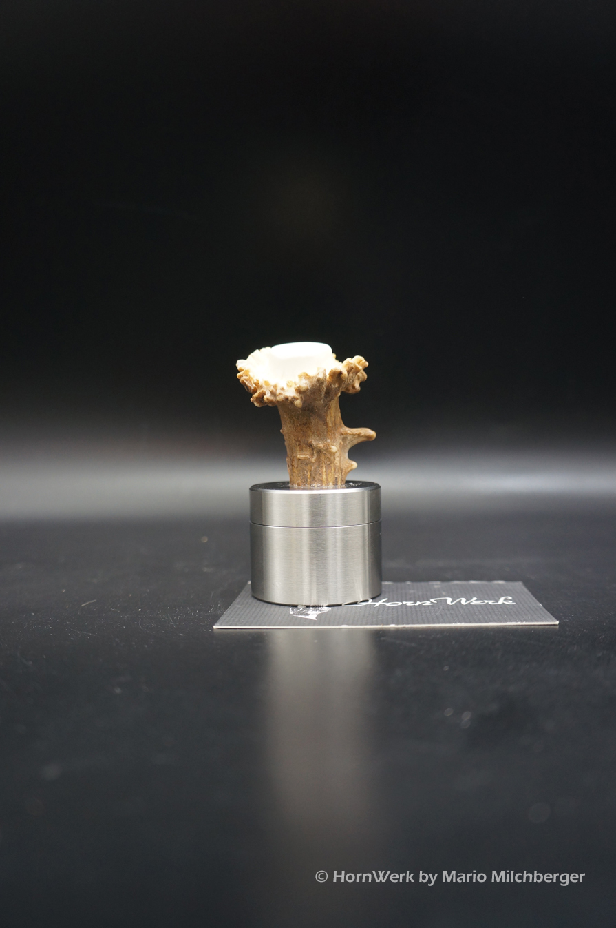 Pillendose Reh 3,9CM – Bild 5