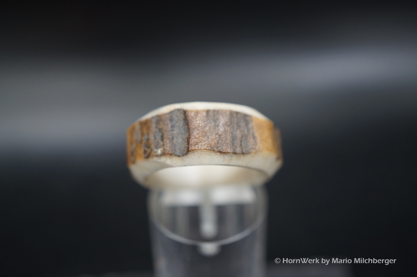 Hirschhornring 18mm – Bild 3