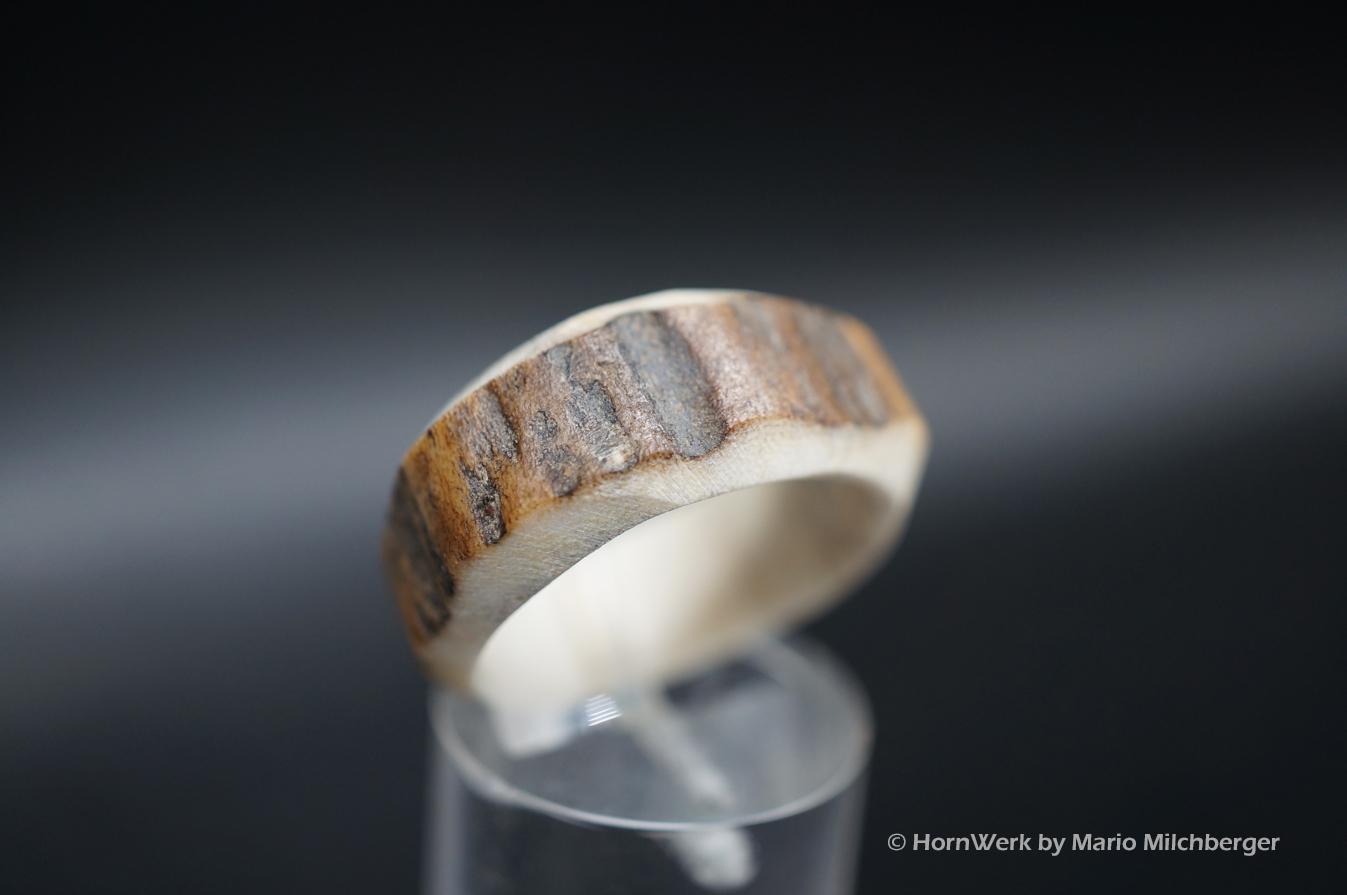 Hirschhornring 18mm – Bild 2