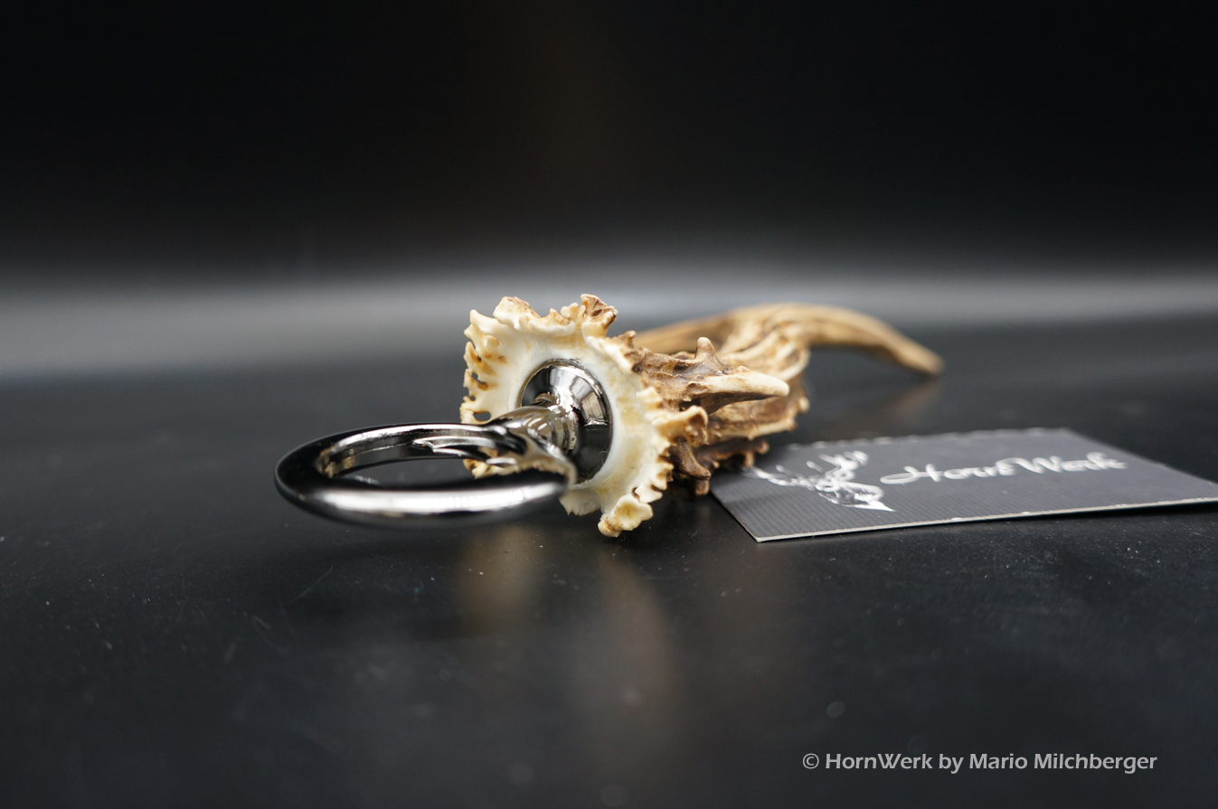 Flaschenöffner Reh XXL – Bild 6